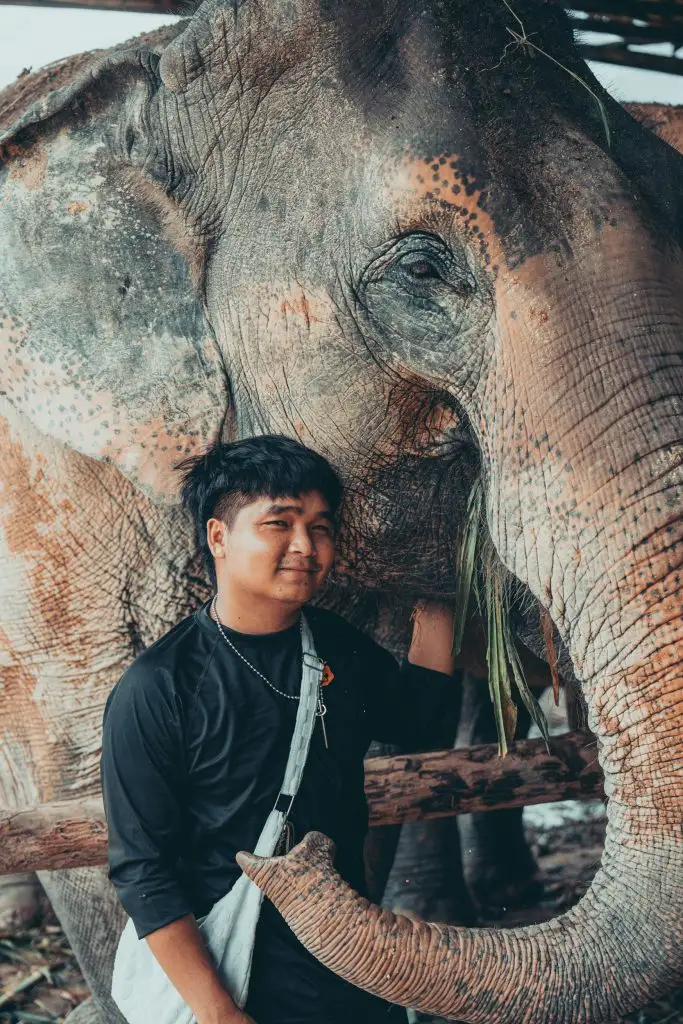 Image courtesy Chai Lai Orchid