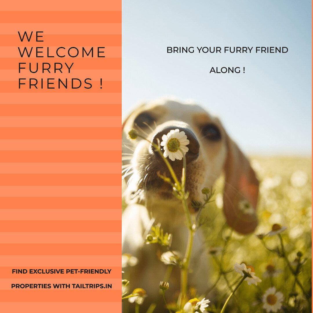 The Rise of Pet-Friendly Travel: Transforming India’s Tourism Industry