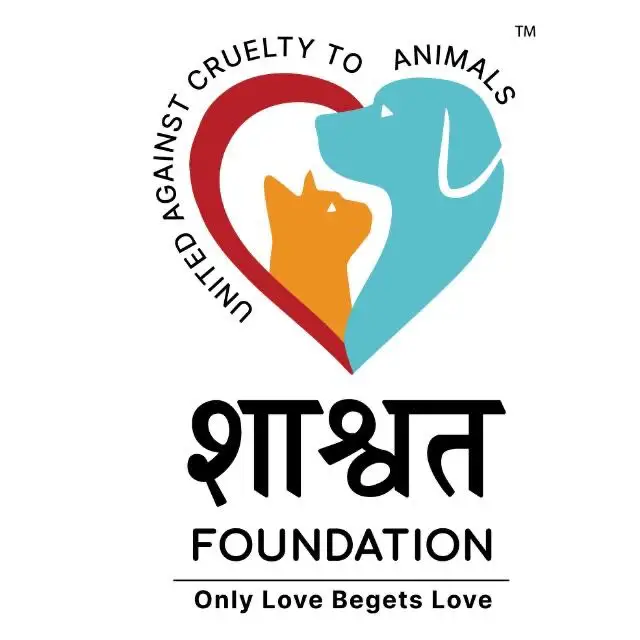 shashwat foundation