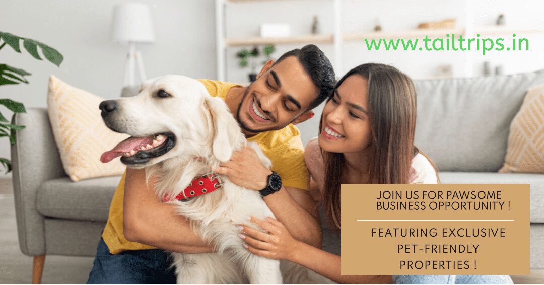 The Hospitality Industry’s Big Win: Embracing Pet-Friendly Travel